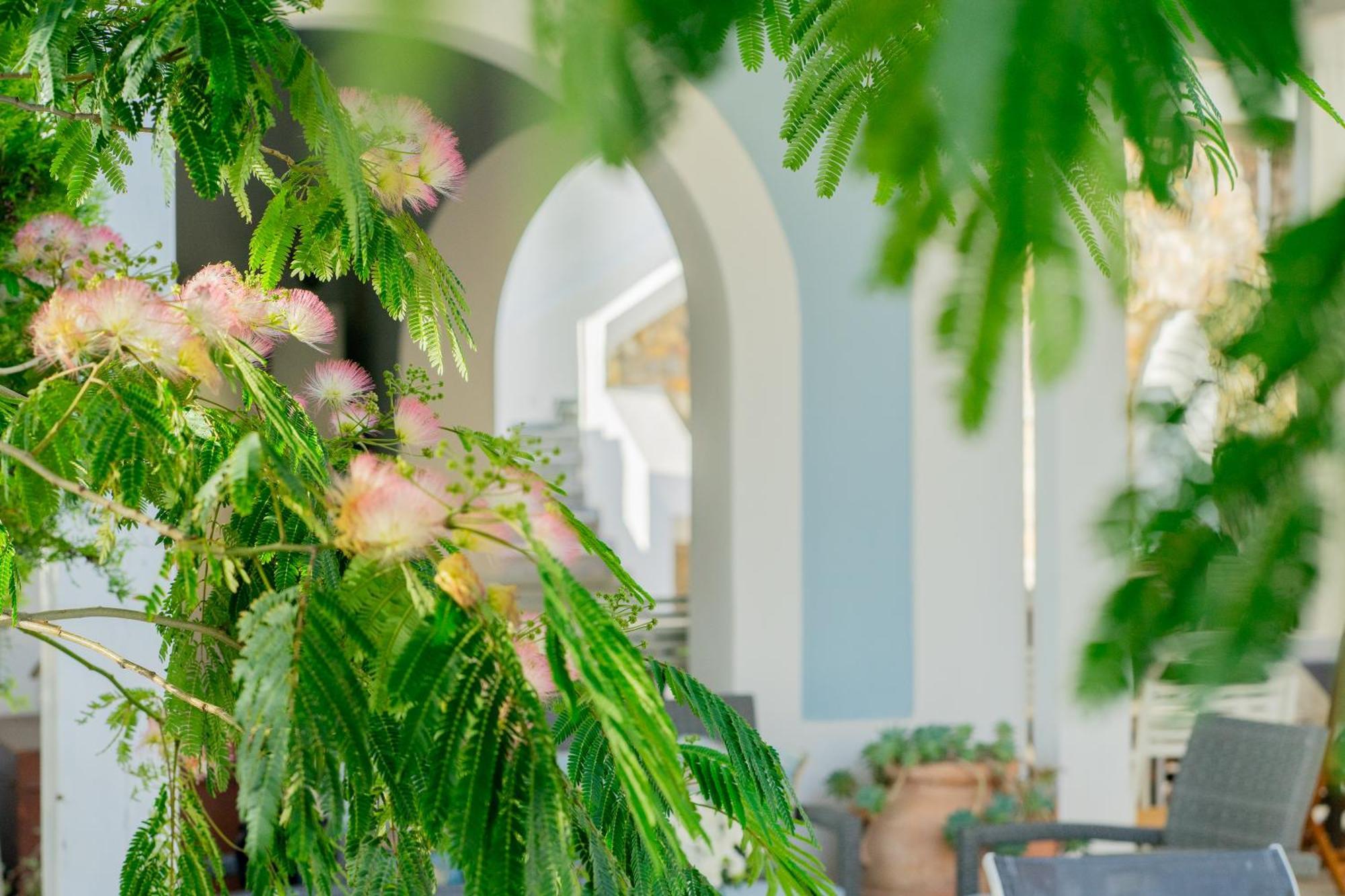 Villa Acacia Ponza Exteriör bild