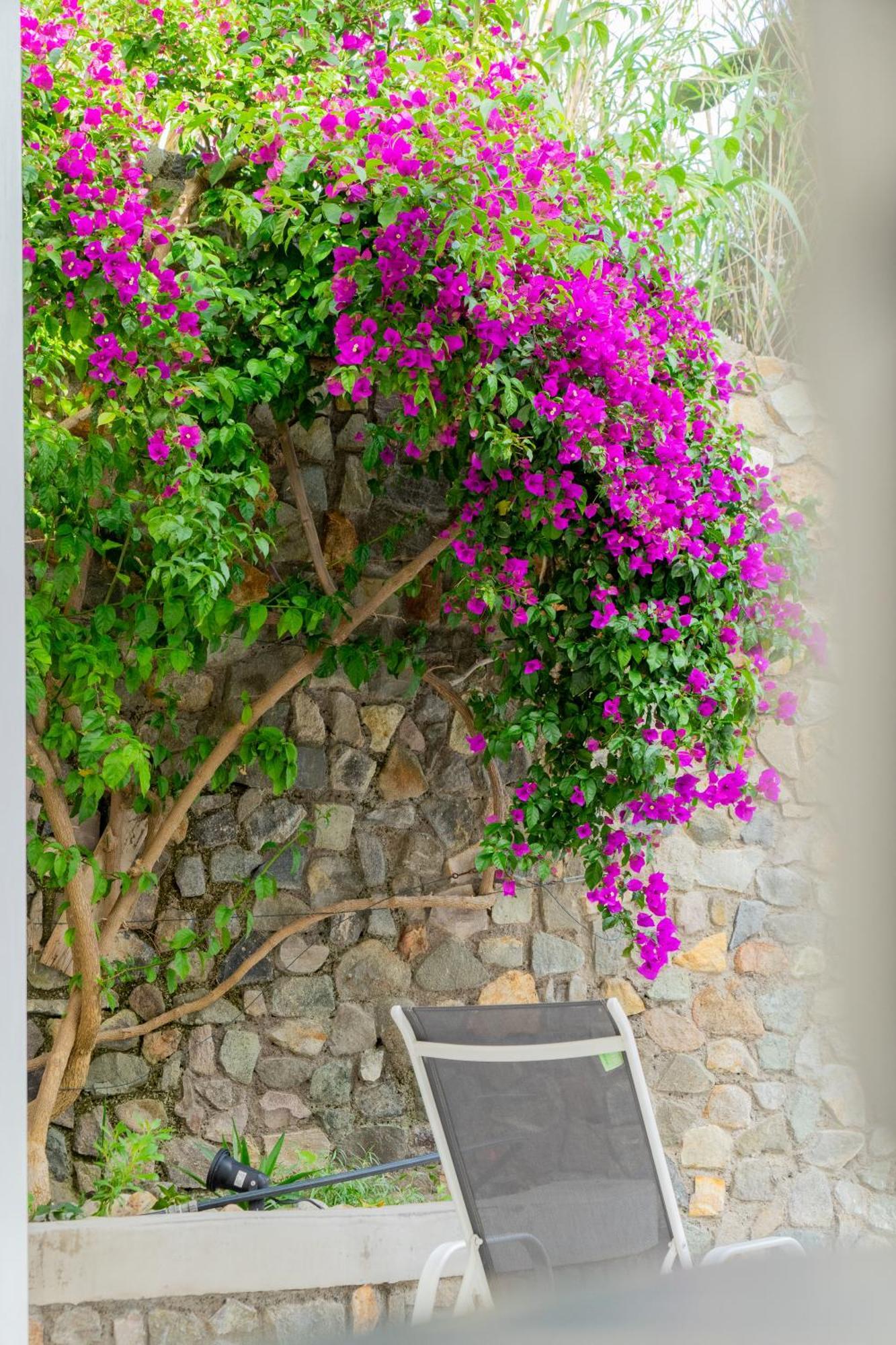 Villa Acacia Ponza Exteriör bild